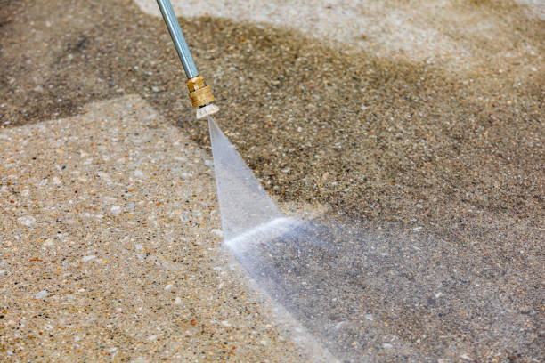 Best Patio and Deck Pressure Washing  in Hialeah, FL